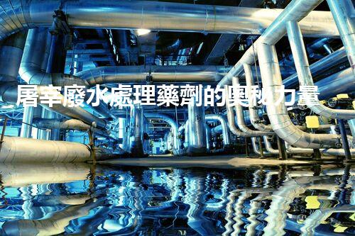 屠宰廢水處理藥劑的奧秘力量，能讓廢水變清泉？